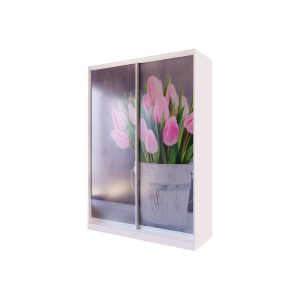 Шафа-купе Київський стандарт 2-дверна з фотодруком 130x240x60 см